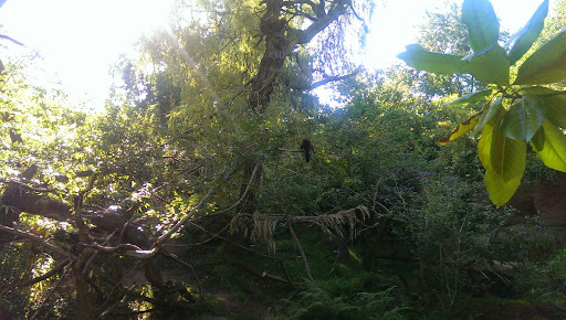 Zoo «Zoomazium», reviews and photos, 601 N 59th St, Seattle, WA 98103, USA