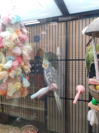 Pet Supply Store «PetSmart», reviews and photos, 300 NJ-18, East Brunswick, NJ 08816, USA