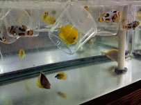 Carolina Aquatics - Photo 3 - Car repair in Kernersville, NC, Winston-Salem