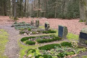 Waldfriedhof Bötersheim image