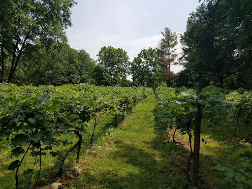 Vineyard «Di Grazia Vineyards & Winery», reviews and photos, 131 Tower Rd, Brookfield, CT 06804, USA