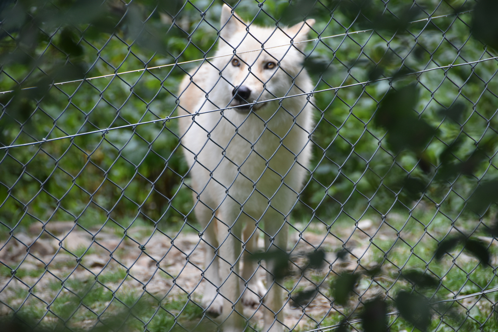 Photo n° 3 de l'avis de Hervé.i fait le 25/08/2020 à 12:08