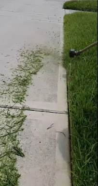 Clean garden - Photo 2 - Car repair in Torrance, CA, Torrance