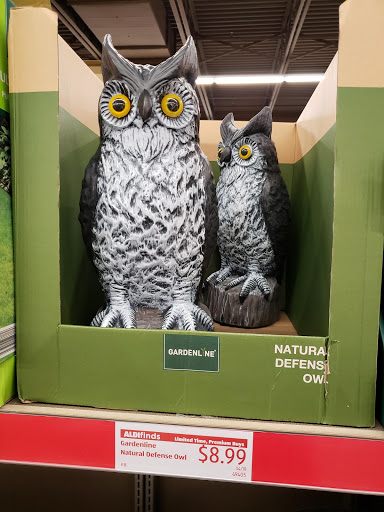 Supermarket «ALDI», reviews and photos, 10912 Baltimore Ave, Beltsville, MD 20705, USA