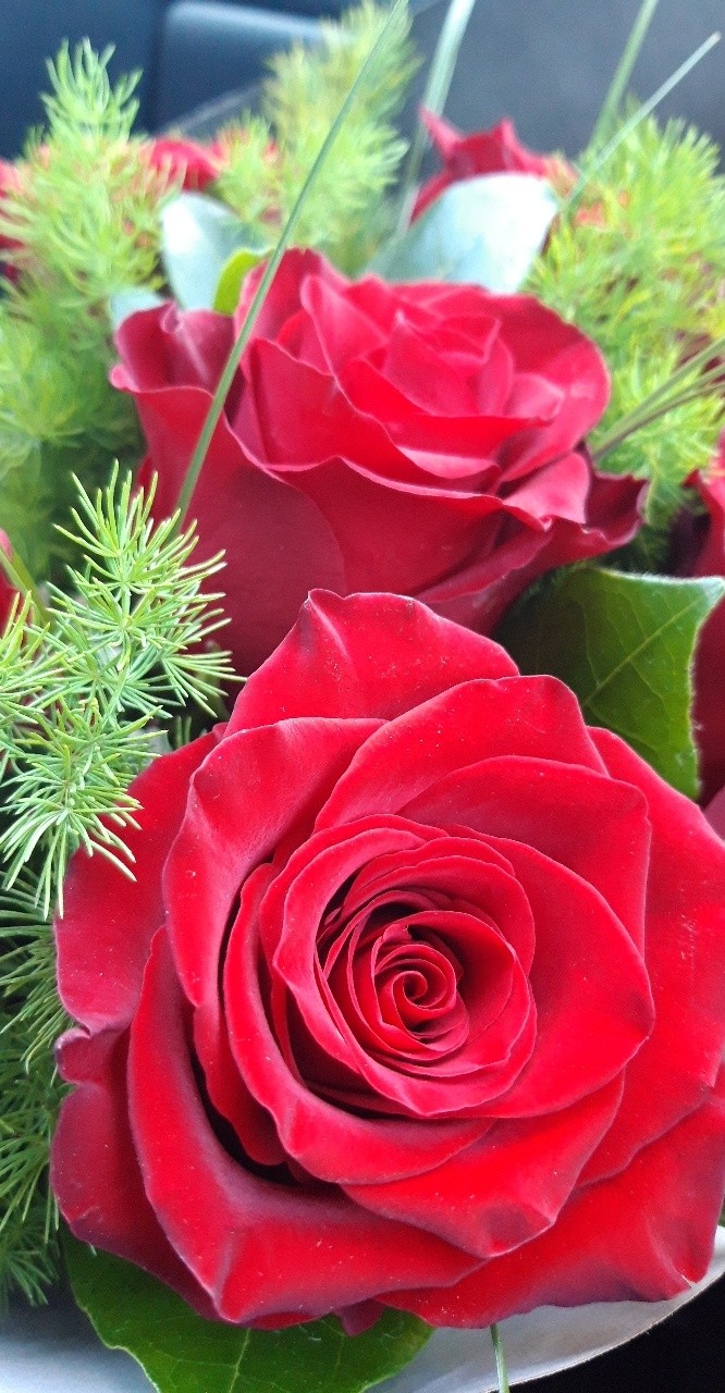 Photo n° 2 de l'avis de Agnès.a fait le 08/04/2019 à 18:02