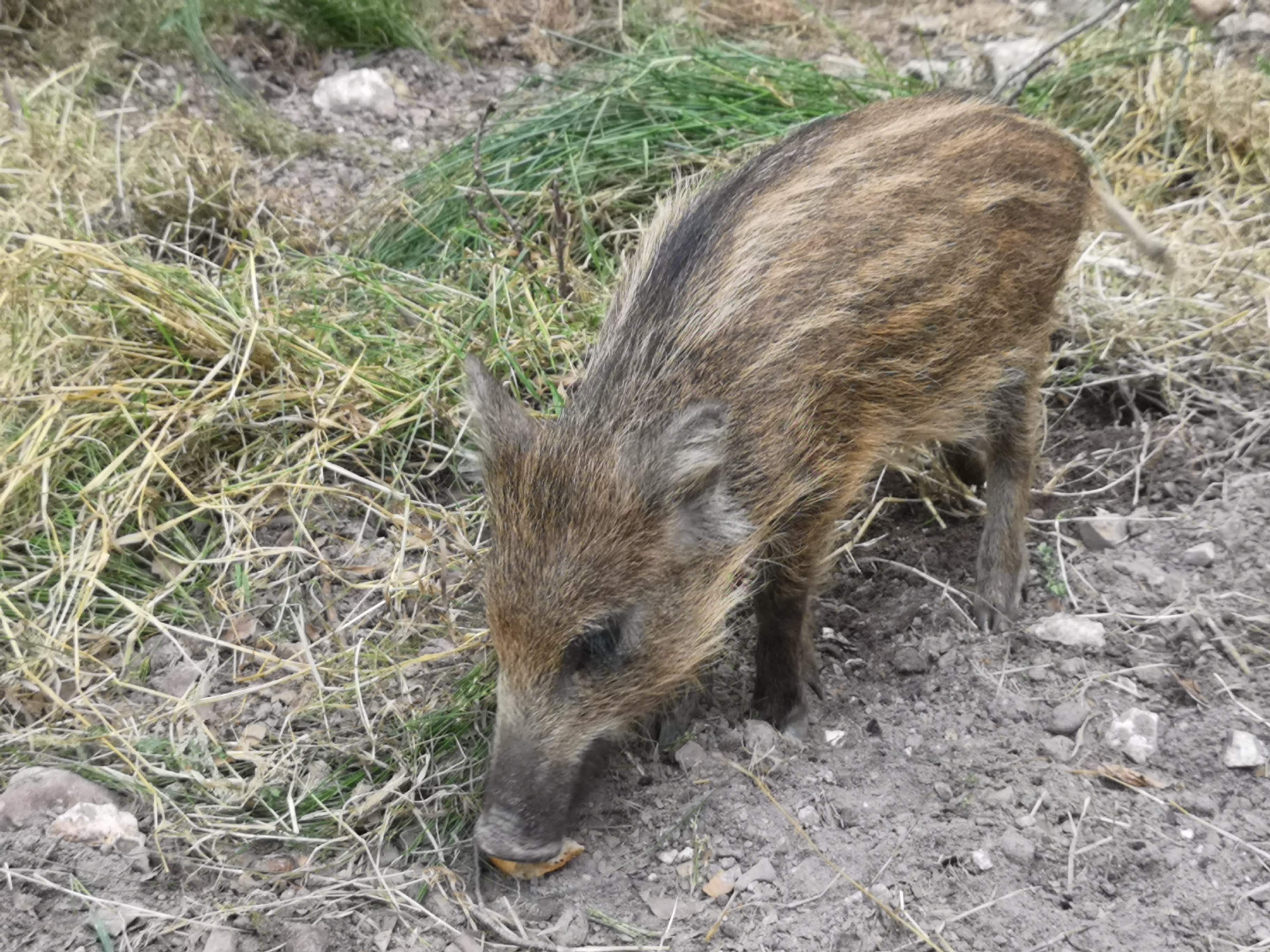 Photo n° 5 de l'avis de Alicia.� fait le 20/03/2021 à 22:35