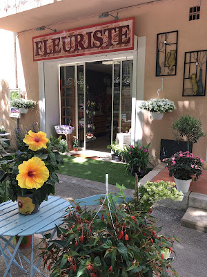 FLEURS DE ZAOU à Aups