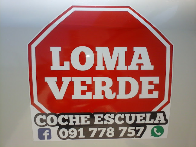 Opiniones de Escuela de Manejo Loma Verde en Colonia - Autoescuela