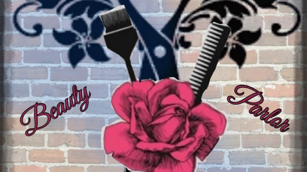 Scheina's Beauty Parlor 72753