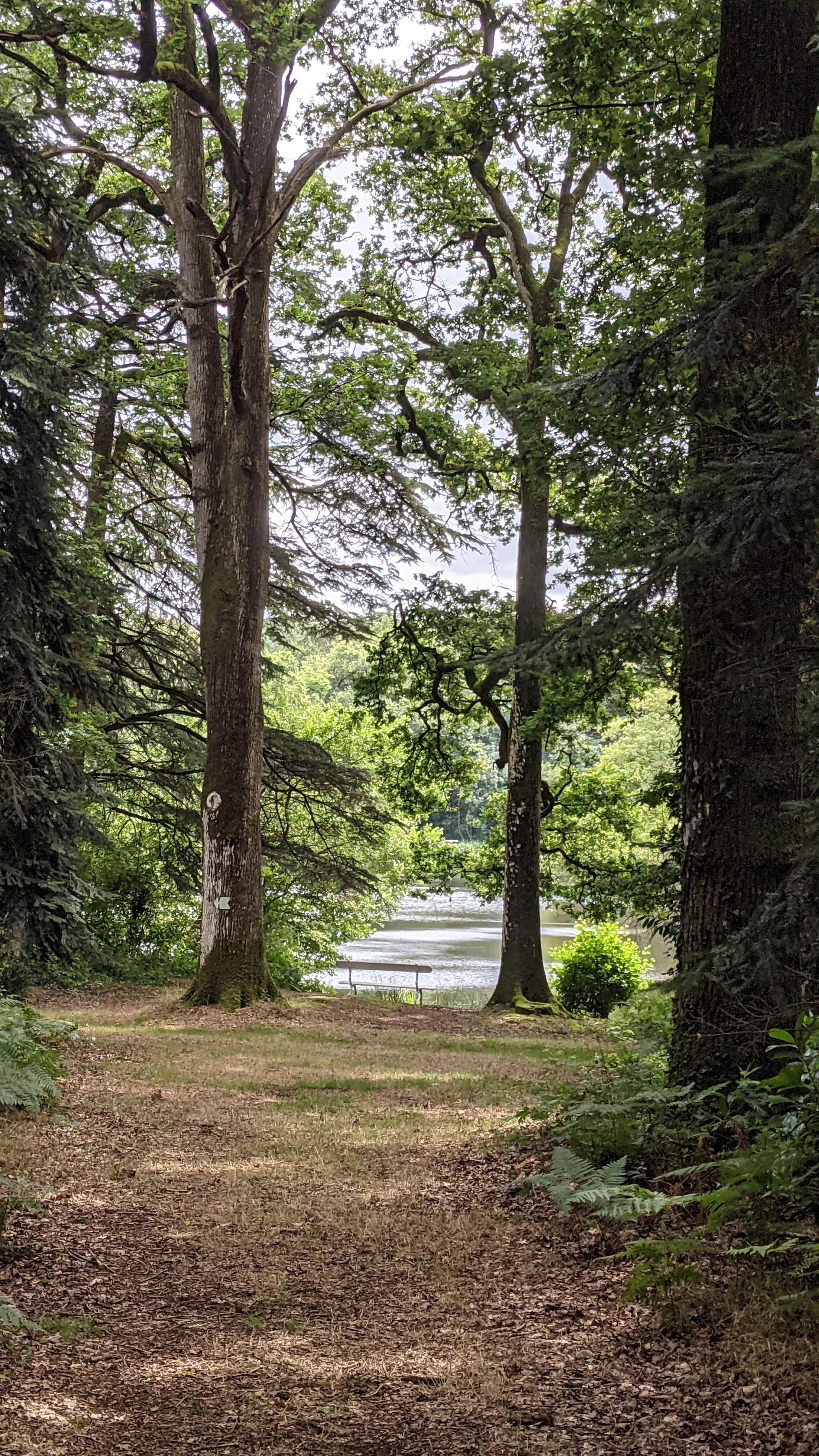Photo n° 5 de l'avis de Michael. fait le 04/07/2021 à 18:01
