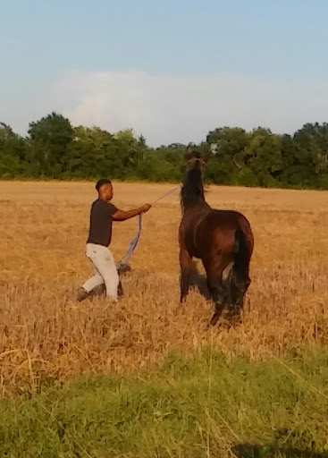 Park «Brown Singleton Park», reviews and photos, Farley St, Waxahachie, TX 75165, USA