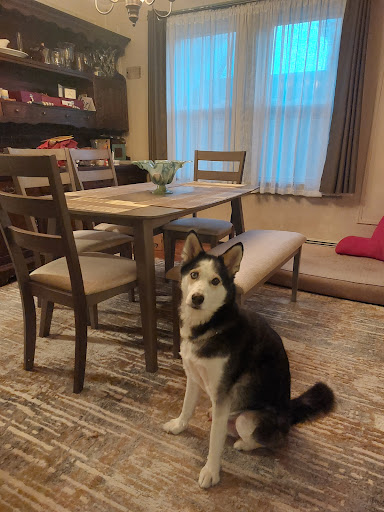 Furniture Store «The Home Warehouse of NJ», reviews and photos, 912 NJ-35, Ocean Township, NJ 07712, USA