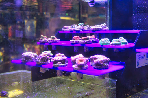 Pet Store «Pet World - Auburndale», reviews and photos, 3637 Havendale Blvd, Auburndale, FL 33823, USA