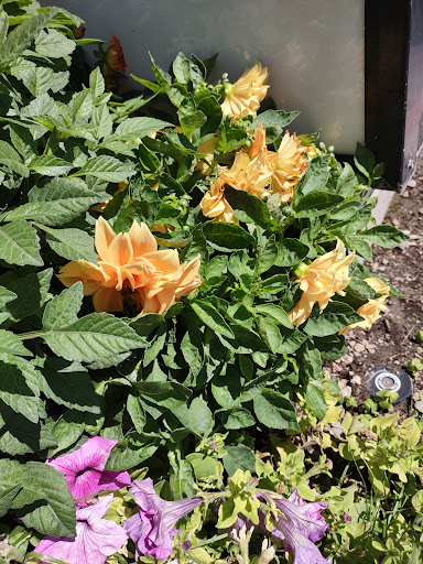 Shopping Mall «Sugar House Shopping Center», reviews and photos, 2274 S 1300 E, Salt Lake City, UT 84106, USA