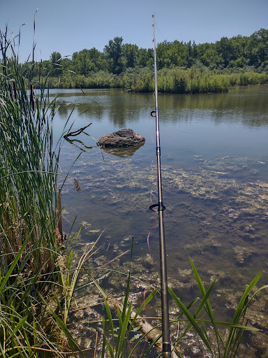 Nature Preserve «Lockport Prairie Nature Preserve», reviews and photos, Broadway St, Lockport, IL 60441, USA
