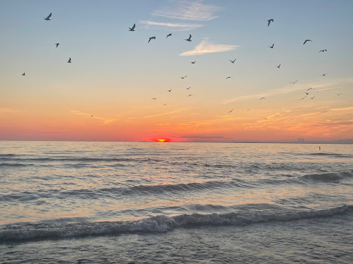 State Park «Woodlawn Beach State Park», reviews and photos, 3580 Lakeshore Rd, Blasdell, NY 14219, USA