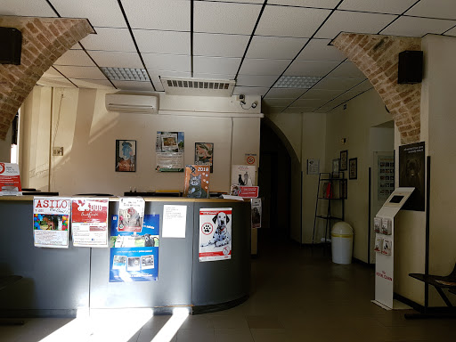 Pensioni per cani e dog hotel a Veterinary Hospital Ardenza