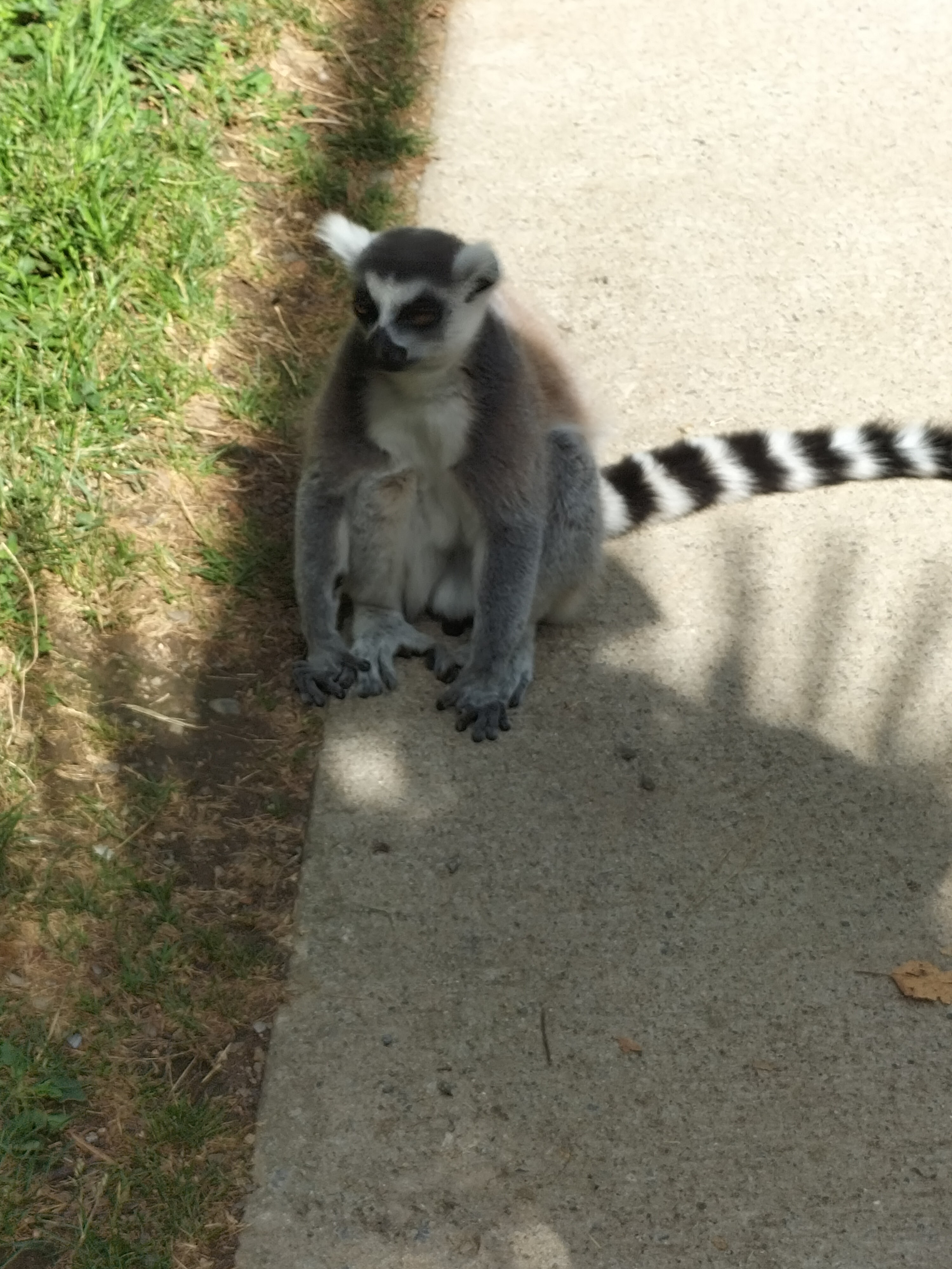 Photo n° 6 de l'avis de Alaska. fait le 26/08/2023 à 16:58