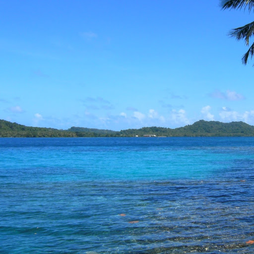 Dive Shop «Depth Perception Dive Center LLC», reviews and photos, 4015 W Gandy Blvd, Tampa, FL 33611, USA