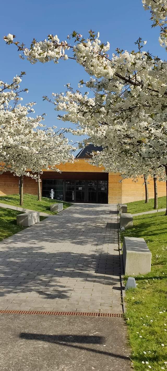 Photo n° 1 de l'avis de Benoît.e fait le 31/03/2022 à 11:33