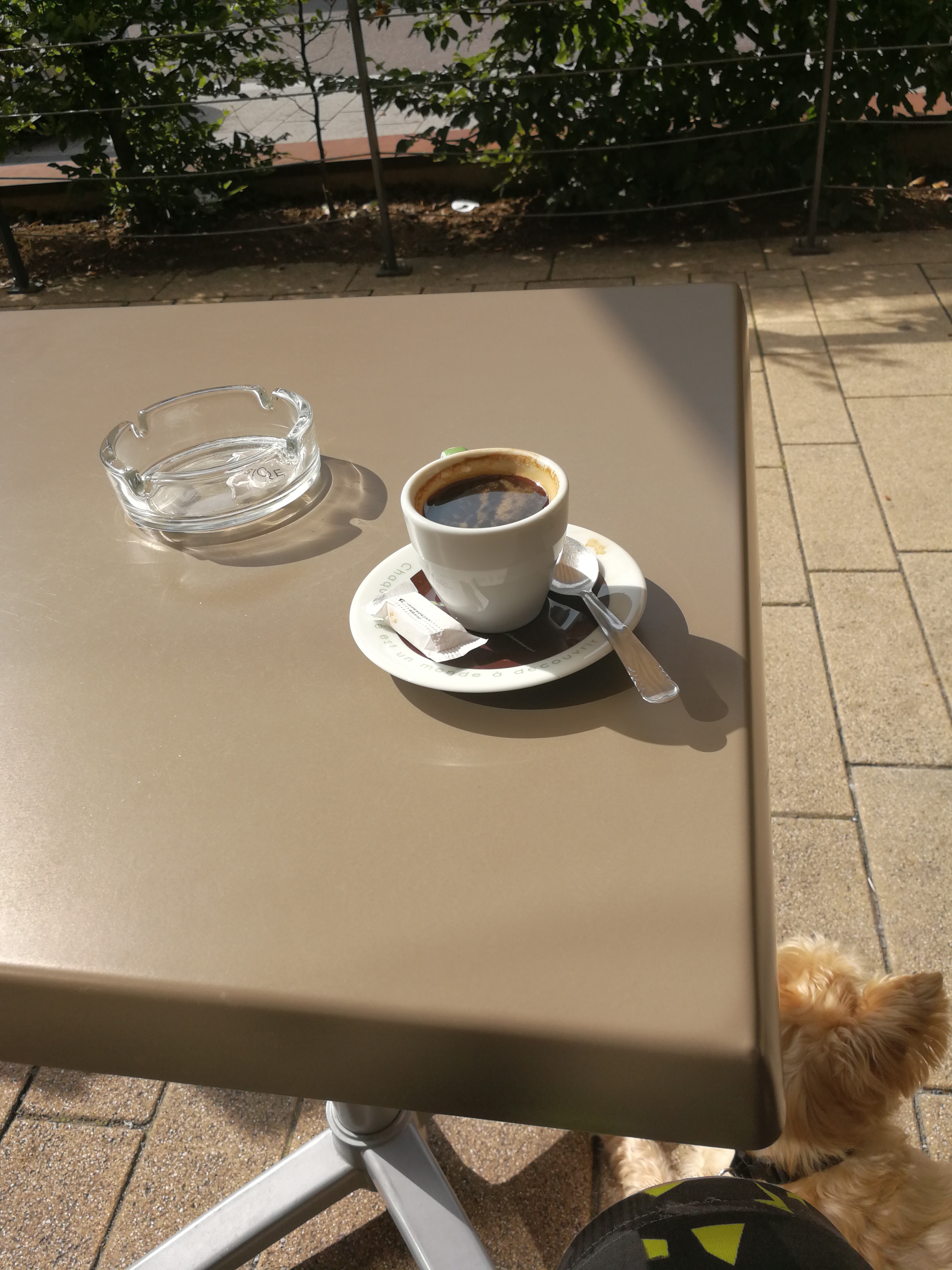 Photo n° 1 de l'avis de Teddy.e fait le 20/08/2017 à 08:36