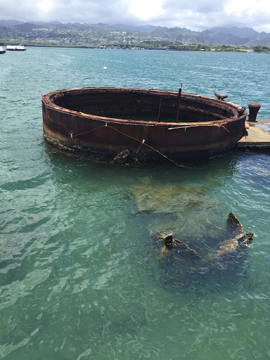 Travel Agency «Magnified Vacations CruiseOne», reviews and photos, 8516 Charleston Ct, Avon, IN 46123, USA