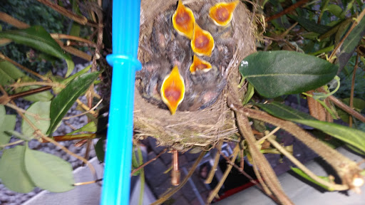 Tierarztpraxis M.J. May unter Pronsfeld, Rheinland-Pfalz