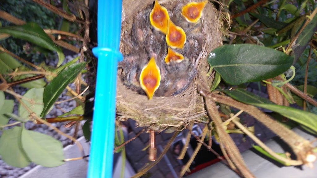 Tierarztpraxis M.J. May