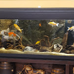 Photo n°1 de l'avis de Bruno.o fait le 18/12/2021 à 17:40 sur le  Trattoria Da Valerio à Orvieto