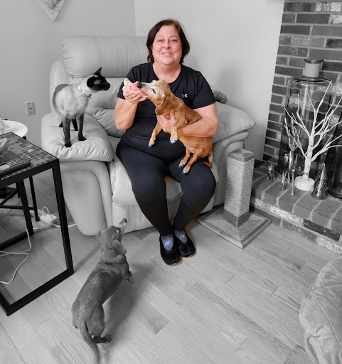 Park Street Veterinary Clinic image