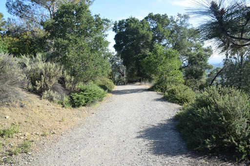 Heintz Open Space image