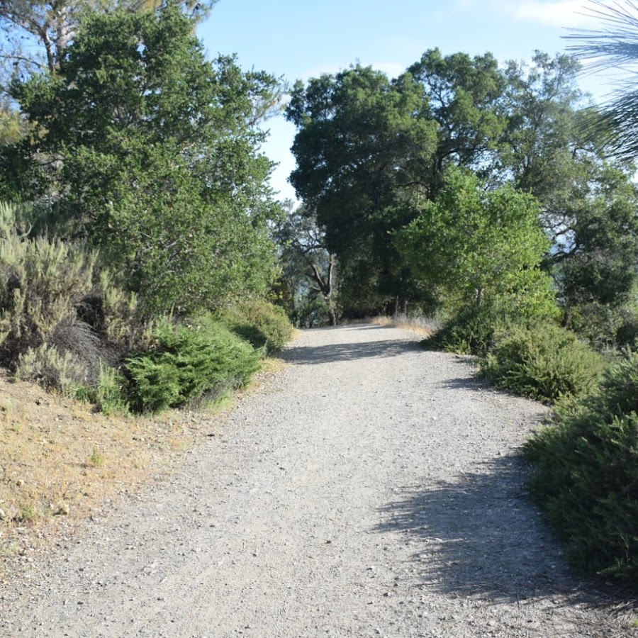 Heintz Open Space