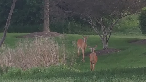 Park «Heritage Oaks Park», reviews and photos, 310 N Fairfield Rd, Hawthorn Woods, IL 60047, USA