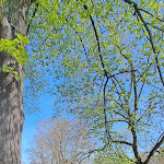 Photo n°2 de l'avis de K..l fait le 06/04/2024 à 11:41 sur le  Château de Schkopau à Schkopau