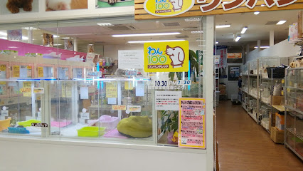 わん100 三郷店