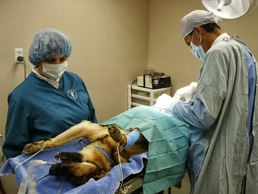 Parrish Creek Veterinary Hospital & Diagnostic Center image