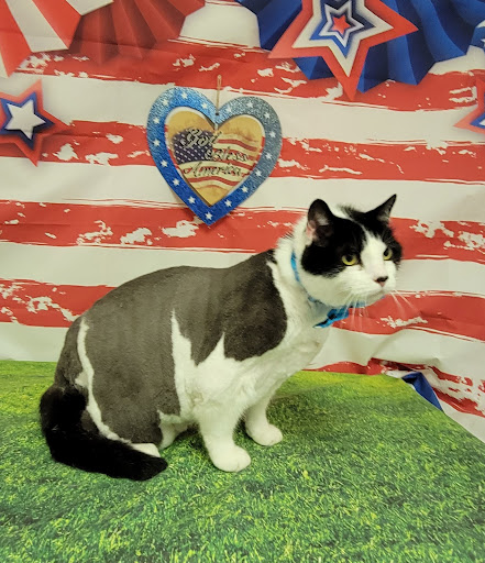 Pet Groomer «One Stop Pet Shop Inc», reviews and photos, 1375 Chestnut St # 103, Emmaus, PA 18049, USA