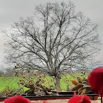 Photo n°2 de l'avis de Eleonora.a fait le 26/03/2024 à 17:08 sur le  Antiche Dimore San Felice à Spello