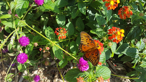 Park «Thrasher Park», reviews and photos, 93 Park Dr, Norcross, GA 30071, USA