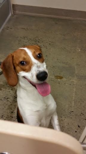 Pet Supply Store «Petco Animal Supplies», reviews and photos, 1391 NJ-35, Middletown, NJ 07748, USA