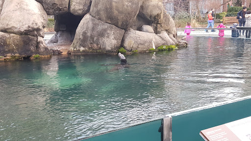 Zoo «Central Park Zoo», reviews and photos, E 64th St & 5th Ave, New York, NY 10021, USA