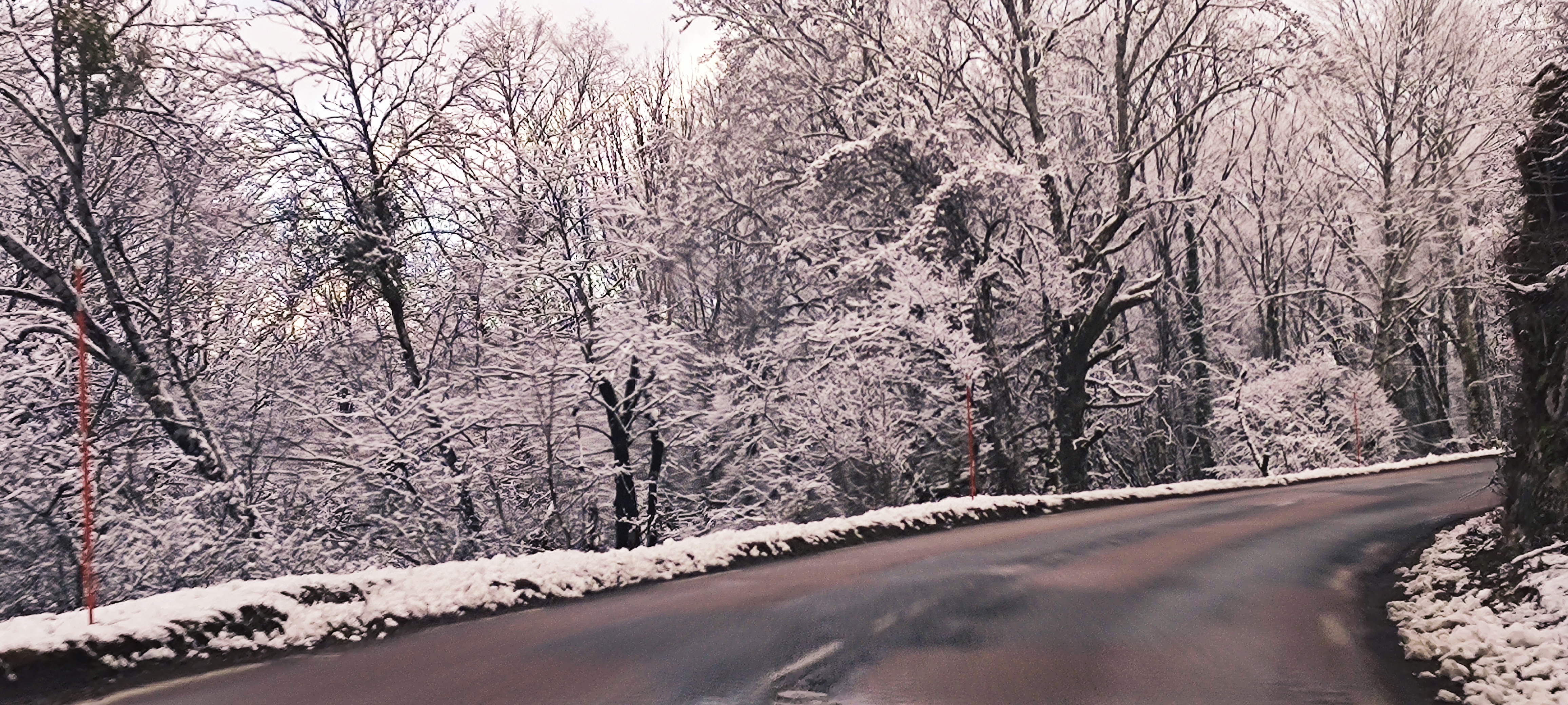 Photo n° 7 de l'avis de ML.D fait le 08/01/2021 à 18:51