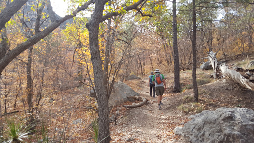 National Park «Guadalupe Mountains National Park», reviews and photos