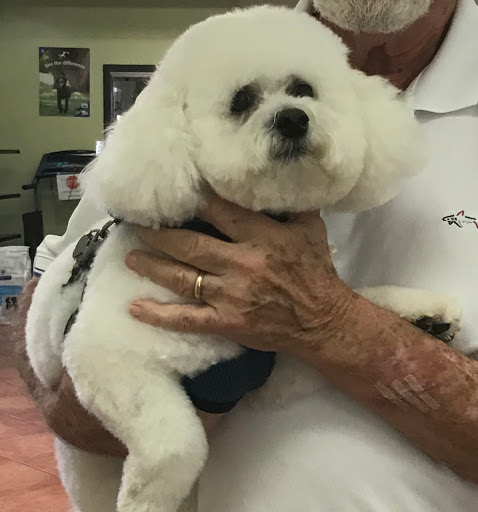 Veterinarian «PetCoral Resort and Veterinary», reviews and photos, 924 Del Prado Blvd, Cape Coral, FL 33990, USA