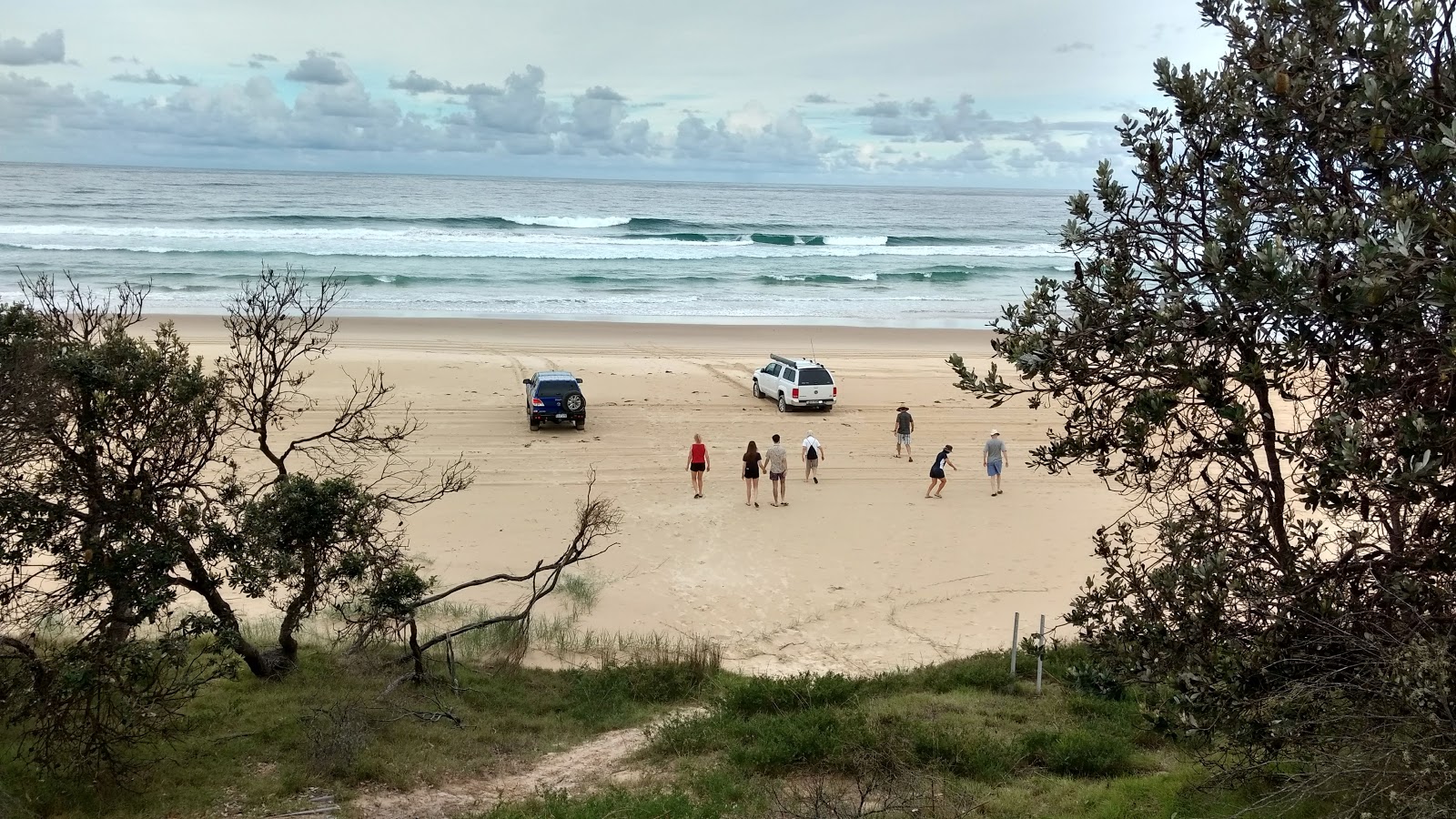 Photo de Forster Beach zone sauvage