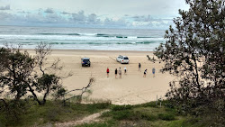 Photo de Forster Beach zone sauvage