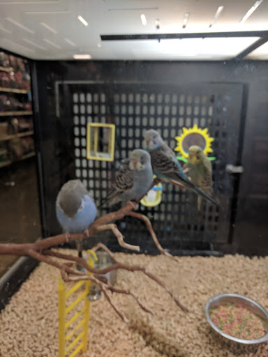 Pet Supply Store «PetSmart», reviews and photos, 4045 Dowlen Rd, Beaumont, TX 77706, USA