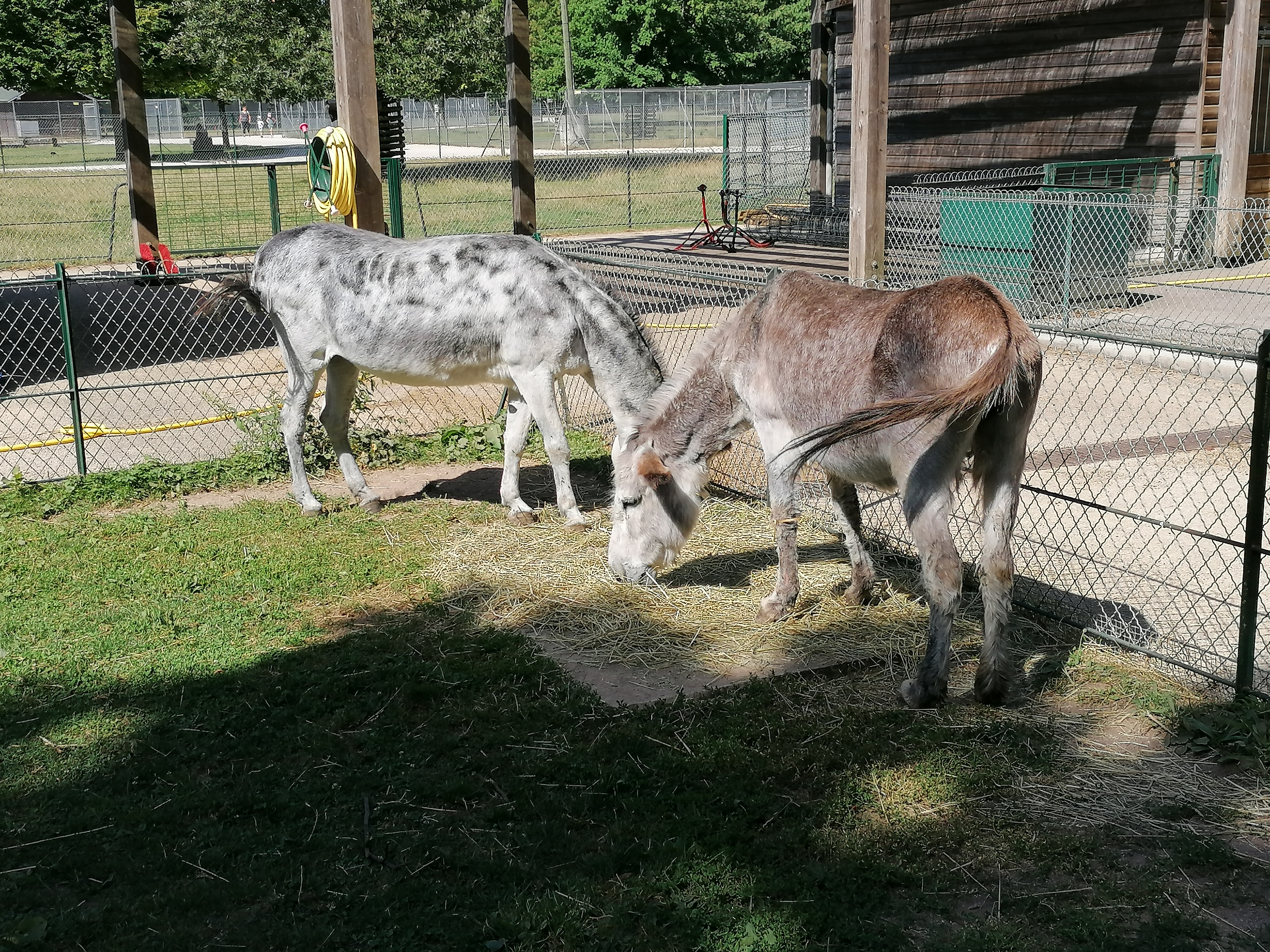 Photo n° 3 de l'avis de Mamy.a fait le 20/07/2022 à 17:32
