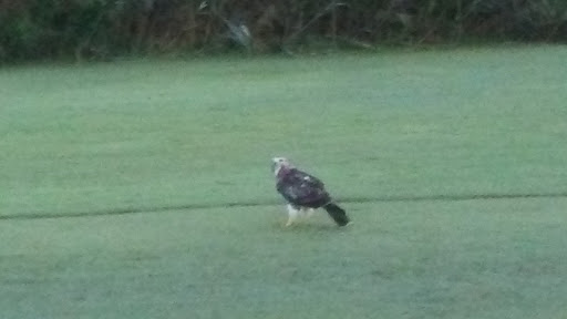 Golf Club «Oak Island Golf Club», reviews and photos, 928 Caswell Beach Rd, Oak Island, NC 28465, USA