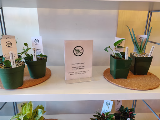 Coffee Shop «Kindness & Mischief Coffee», reviews and photos, 5537 N Figueroa St, Los Angeles, CA 90042, USA